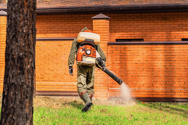 Bed Bug Clearance Verification and Documentation in Red Lion